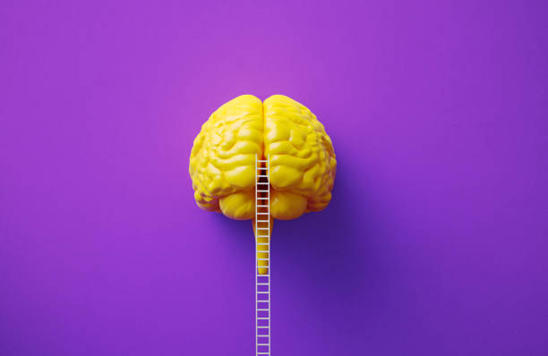 Psychology of risk